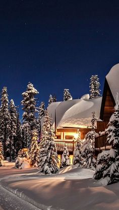 a cabin in the middle of a snowy forest at night with lights on and snow covered trees