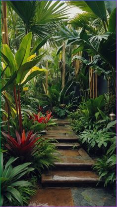 an outdoor walkway surrounded by tropical plants and trees