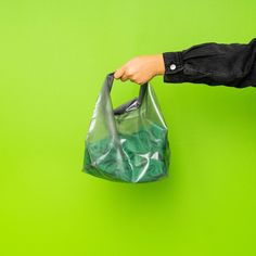 a person holding a plastic bag against a green wall