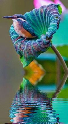 a bird sitting on top of a leaf in the water with it's reflection