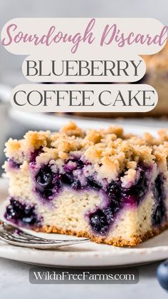 sourdough discard blueberry coffee cake Sourdough Discard Blueberry, Blueberry Cream Cheese Coffee Cake, Buckle Recipe, Blueberry Coffee Cake Recipe, Cheese Coffee Cake, Blueberry Desserts Recipes, Blueberry Crumb Cake, Breakfast Coffee Cake, Blueberry Buckle