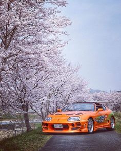 an orange sports car parked on the side of a road in front of blooming trees