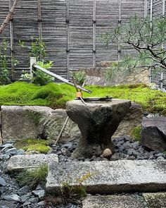 an outdoor garden with rocks and plants