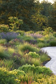 a garden with lots of plants and flowers on the side of it, next to a paved path