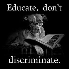 a dog is reading a book with the caption, education, don't discriminate