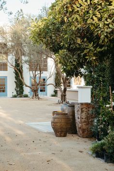 there are two large vases in front of a building with trees on the other side