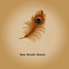 an image of a peacock feather with the words rest breath restart on it