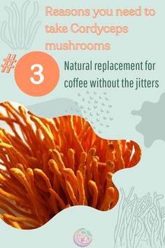 Discover the power of Cordyceps benefits! This medicinal mushroom powder supports energy and immunity. You'll love this healthier coffee replacement. Discover the incredible Cordyceps mushroom benefits and boost your well-being today! Click to learn more.