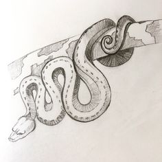 a pencil drawing of a snake on a piece of paper with the letter s in it