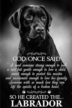 a black dog with the words, god once said and an image of a labrador retriever