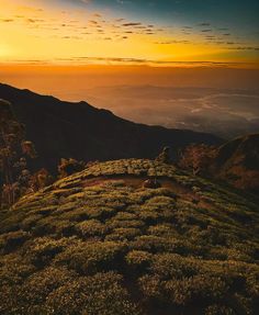 the sun is setting on top of a grassy hill