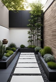 an outdoor garden with gravel, rocks and plants