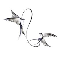 two birds flying next to each other on a white background with the words love written in it