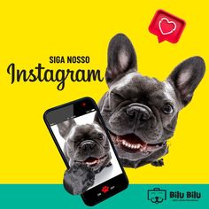 an advertisement for instagram with a dog on the screen