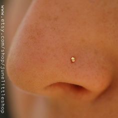 a close up view of a nose with a tiny gold dot on it's nose