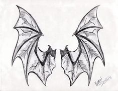 two bats with wings drawn in pencil