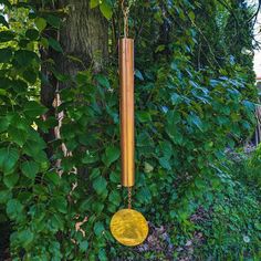 a wind chime hanging from the side of a tree in front of some bushes