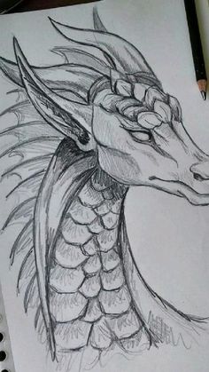 a pencil drawing of a dragon head