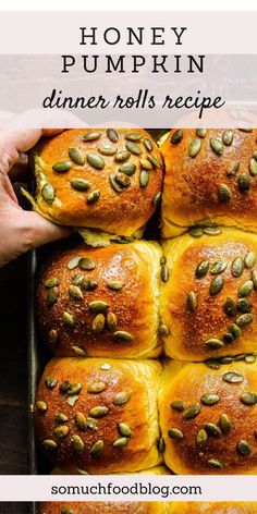 honey pumpkin dinner rolls recipe in a baking pan with the title above it reading, honey pumpkin dinner rolls recipe