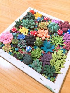 there are many different types of flowers on the table together in this picture, including broccoli and succulents