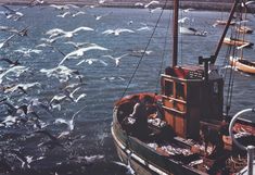 there is a boat in the water with seagulls flying around it and an advertisement on its side