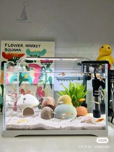 a fish tank filled with lots of different types of rocks and plants next to a sign that says flower market