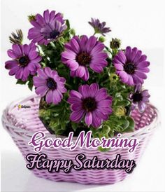 a basket filled with purple flowers sitting on top of a white table next to a sign that says good morning happy saturday