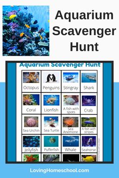 an aquarium scavenger hunt for kids