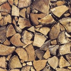 wood is stacked up and ready to be used in the firewood burning ovens