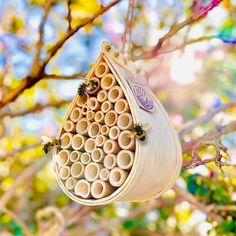 a bee hotel hanging from a tree branch with bees in it's pods