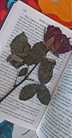 an open book with dried flowers on it