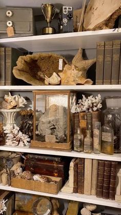 shelves filled with books and other decorative items