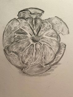 a drawing of an orange on a white paper