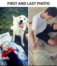 a man and his dog are pictured in this ad for the first pic last pic, losing your pet is the worst feeling ever