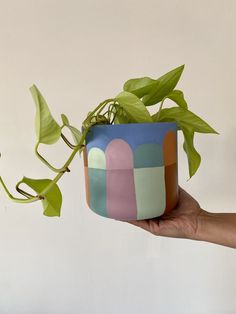 a hand holding a potted plant with green leaves