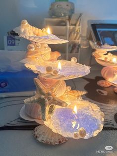 three seashell candles are lit on a table