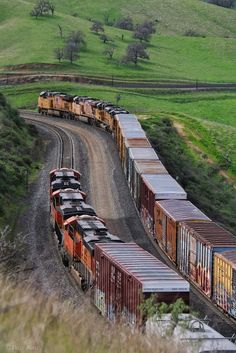 a train traveling down tracks next to a lush green hillside covered in lots of trees