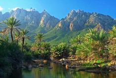 the mountains are covered with palm trees and green vegetation in front of a small river