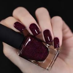 Madeline - Delicious Dark Berry Holographic Nail Polish by ILNP Ilnp Nail Polish, Classy Nail, Classy Nail Designs, Holographic Nail Polish, Red Nail, Dark Nails, Holographic Nails