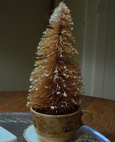 a small potted plant sitting on top of a saucer next to a candle