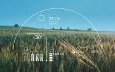 an image of a field with thermometers on it and wheat in the foreground