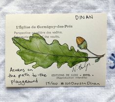 a piece of paper with an image of a leaf and acorns on it