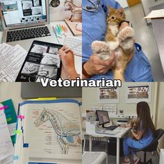 veterinarian holding kitten in front of laptop computer and desk with books on it