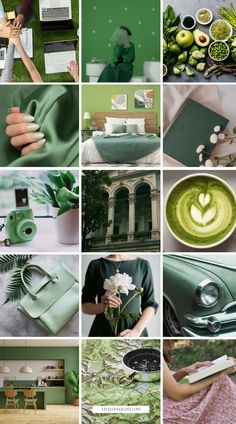 the collage shows green and white colors