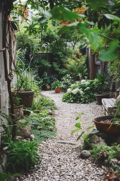 an outdoor garden with lots of plants and rocks