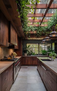 a kitchen with wooden cabinets and plants hanging from the ceiling