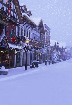 a row of houses covered in christmas lights on a snowy day with lots of snow