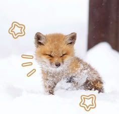 a small fox is sleeping in the snow