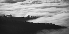 black and white photograph of trees on top of a hill surrounded by clouds in the sky