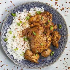 a blue plate topped with rice and chicken